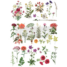 Load image into Gallery viewer, Redesign Decor Transfer - Floral Collection
