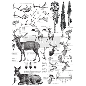 Redesign Decor Transfer - Deer