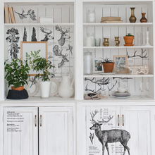 Load image into Gallery viewer, Redesign Decor Transfer - Deer
