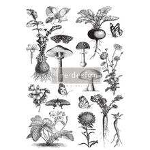 Load image into Gallery viewer, Redesign Decor Transfer - Fungi Forest
